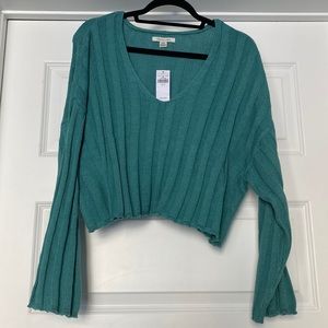 American Eagle Cropped Sweater